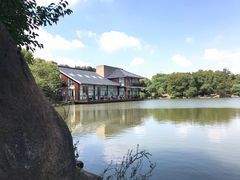 -白马涧龙池景区