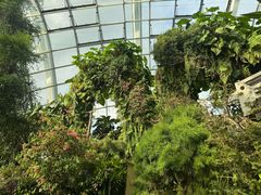 -狼山风景名胜区