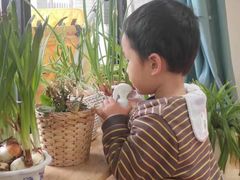 -小象托育