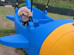 -太阳岛度假酒店