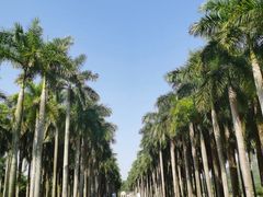 -南宁花花大世界景区