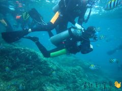 -三亚湾海居铂尔曼度假酒店