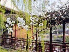 -盘门景区