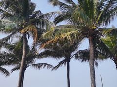 -西秀海滩公园