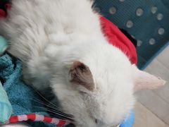 -畜牧兽医站(共江路店)