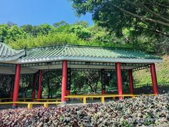 -金鸡山公园