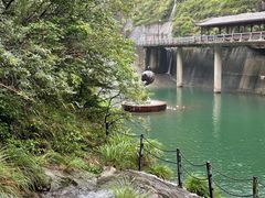 -长谷洞天