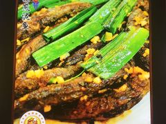 -阿四台山黄鳝饭(东门店)