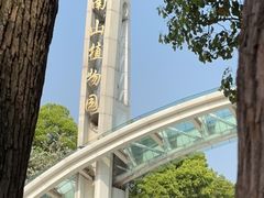 -南山植物园