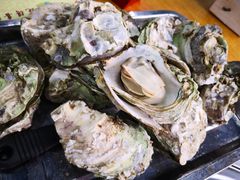 -蚝得喜海鲜(东城店)