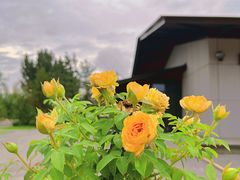 -汉长安城未央宫国家考古遗址公园