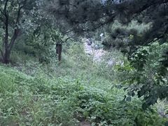 -北京西山国家森林公园