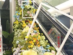 -凯德MALL(望京店)