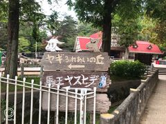 -神户市立六甲山牧场