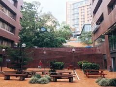 -香港大学