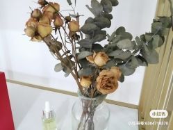 点击看大图 -凡碧诗毛孔清洁收细