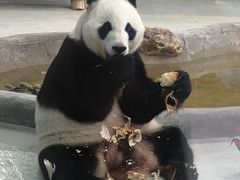 -柳州市动物园