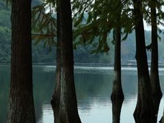 -重庆彩云湖湿地公园