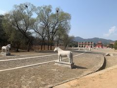 -清东陵