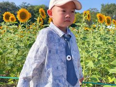 -北陵公园