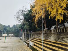 -西南政法大学(沙坪坝校区)