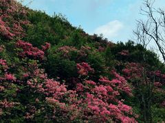 -木兰云雾山