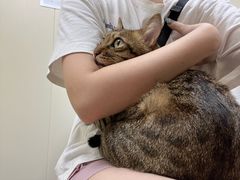 -爱诺耐芙动物医院(万博店)