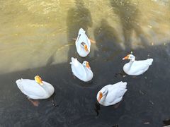 -杭州师范大学(下沙校区)