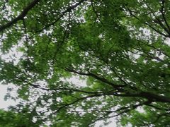 -深圳湾公园(南山区)