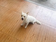 -小六农家乐(崇明西沙湿地店)