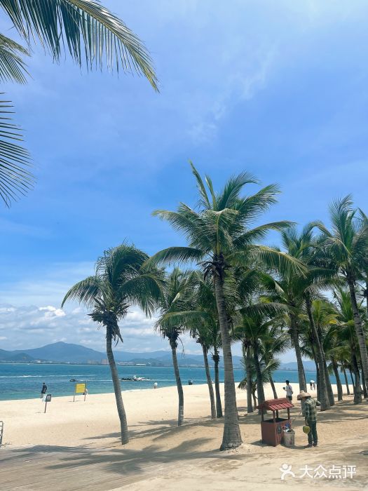 白云中餐厅·粤菜·亚龙湾喜来登度假酒店图片