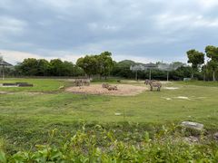 -宁波野生动物园