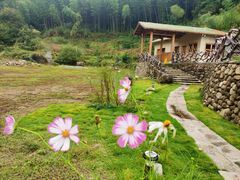 -大围山国家森林公园
