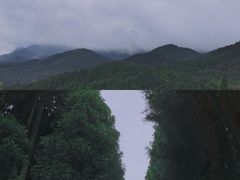 -武陵山森林公园