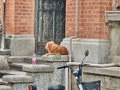 -飞马旅黎黄陂路文旅街区