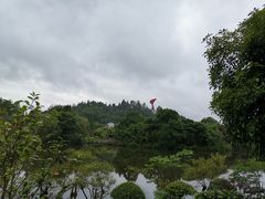 -井冈山风景名胜区