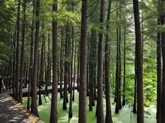 -云龙湖旅游景区