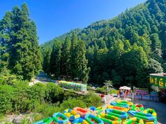 -瓦屋山景区