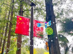 -黄海国家森林公园