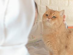-平行世界·猫咖(首经贸店)