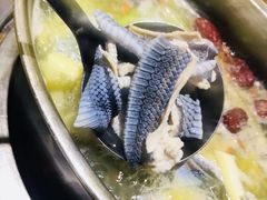 -金龙·打边炉(武进路店)