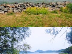 -沈阳植物园