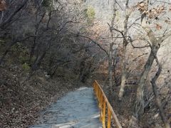 -北京上方山国家森林公园