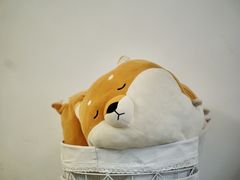 -五进制 Coffee Shop