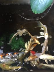 -如果·形象个人整体形象设计工作室