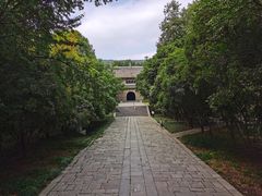 -灵谷景区