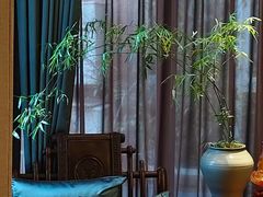 -王府茶楼茶宴·创意菜(朝阳公园店)