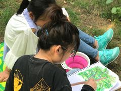 -大塘金香草谷