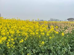 -中国天府农业博览园