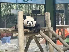 -栾川竹海野生动物园